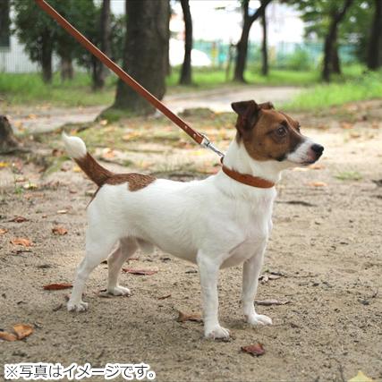 コロコ 栃木レザー カラー（首輪） 18mm ライトブラウン本革