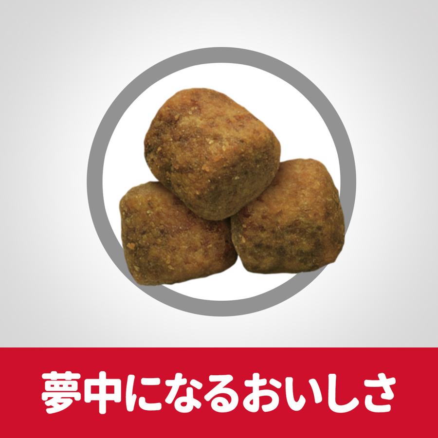 サイエンス・ダイエット サイエンス ダイエット アダルト 大型犬用 成