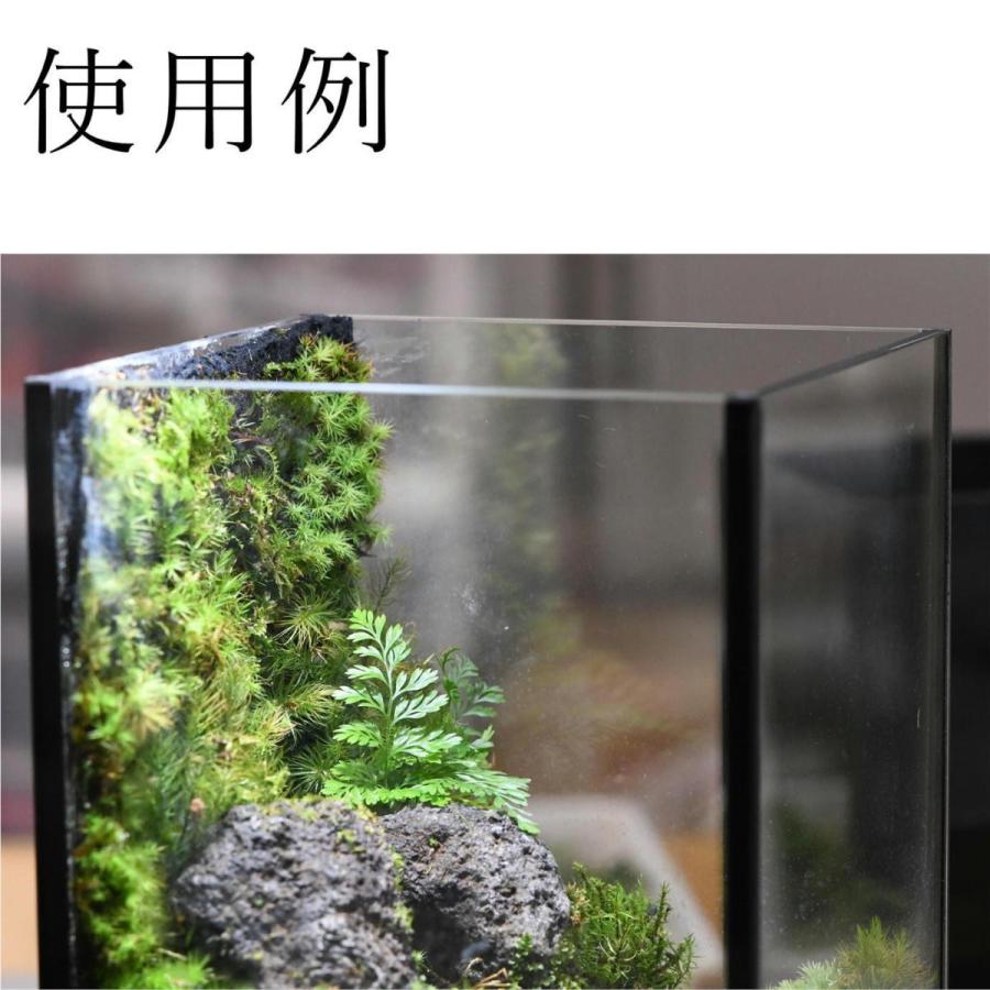 活着君 苔テラリウム 造形 苔壁 ソイル 植物が育つ布 苔盆栽 苔