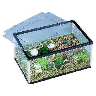 GEX（ジェックス） カメ元気かんたん飼育セットST : コメリドット