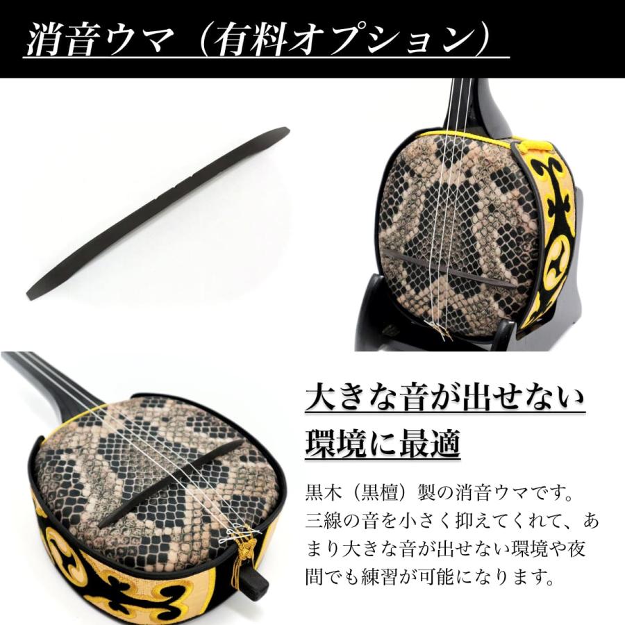 三線 奄美三線 スタンダードセット 真壁型 黒塗り 人工皮 大島絃 三線