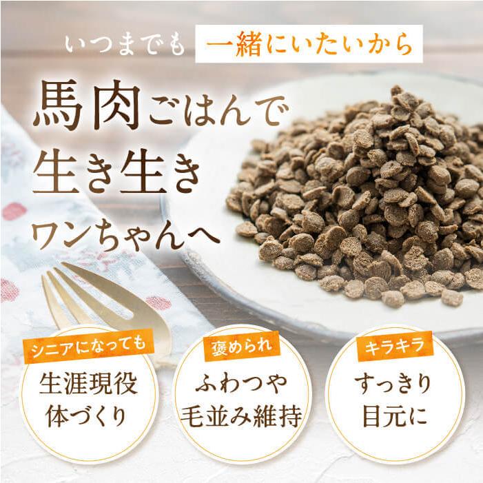 健康いぬ生活 ドックフード 無添加 国産 小粒 馬肉自然づくり 3kg