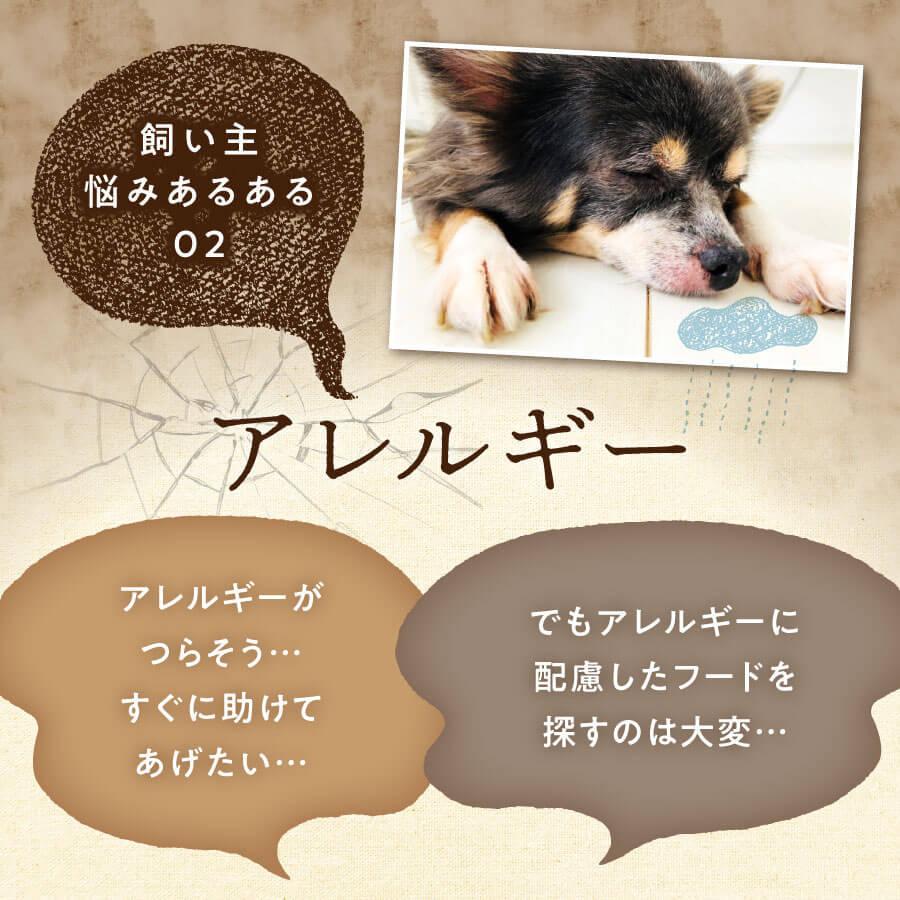 健康いぬ生活 ドックフード 無添加 国産 馬肉自然づくりプレミアム