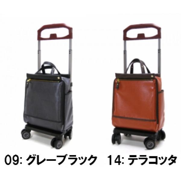 Ace（エース） ソエルテ ショッピングカート キャリーバッグ 大サイズ