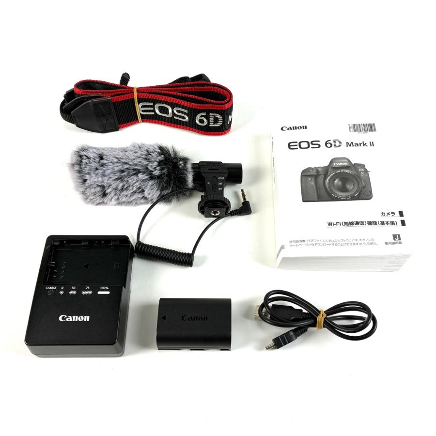 キヤノン Canon EOS 6D Mark II ボディ デジタル 一眼レフカメラ 中古