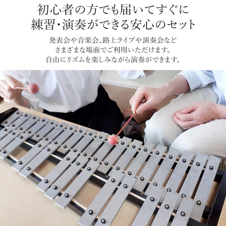 折り畳み 卓上 鉄琴 30音 初心者セット マレット2本 収納ケース付 鍵盤