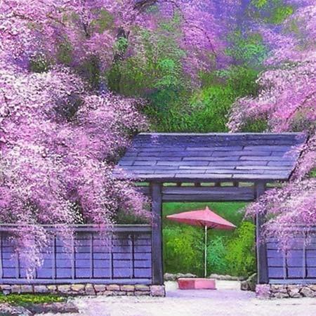 風景画 M.Ryuji F30号 額のみ 風景画 M.Ryuji F30号 額のみ - メルカリ