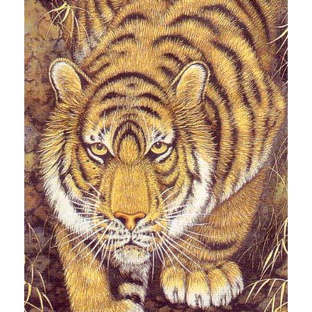 掛け軸 猛虎 （高松邦夫） 【肉筆】【掛軸】【一間床・半間床】【虎