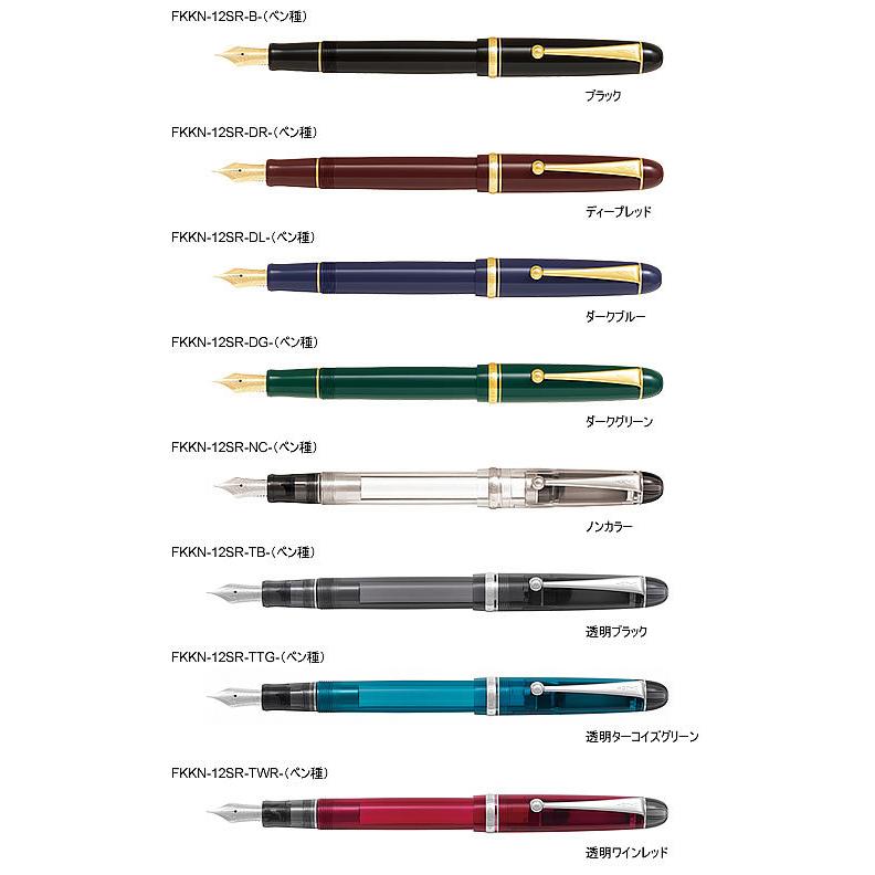 PILOT（パイロット） カスタム74（CUSTOM 74）万年筆その2（ダーク