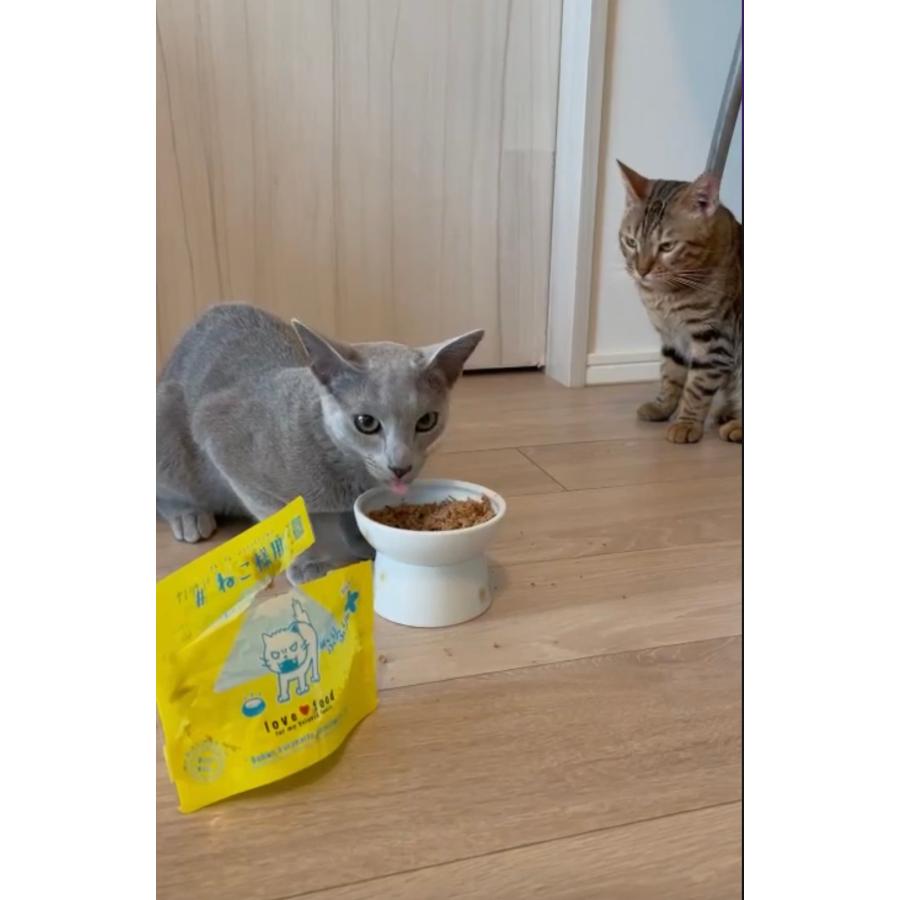 キャットフード グレインフリー 無添加 ♯プレミアムネコちゃん