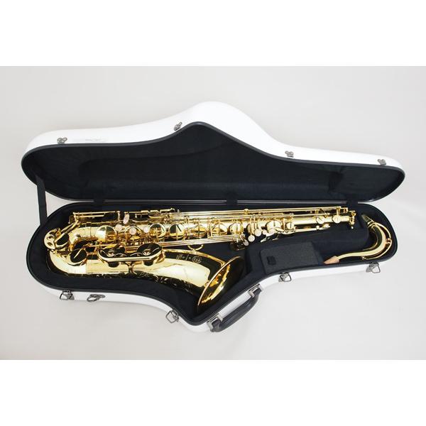2営業日以内発送可】テナーサックスケース C.C.シャイニーケースII