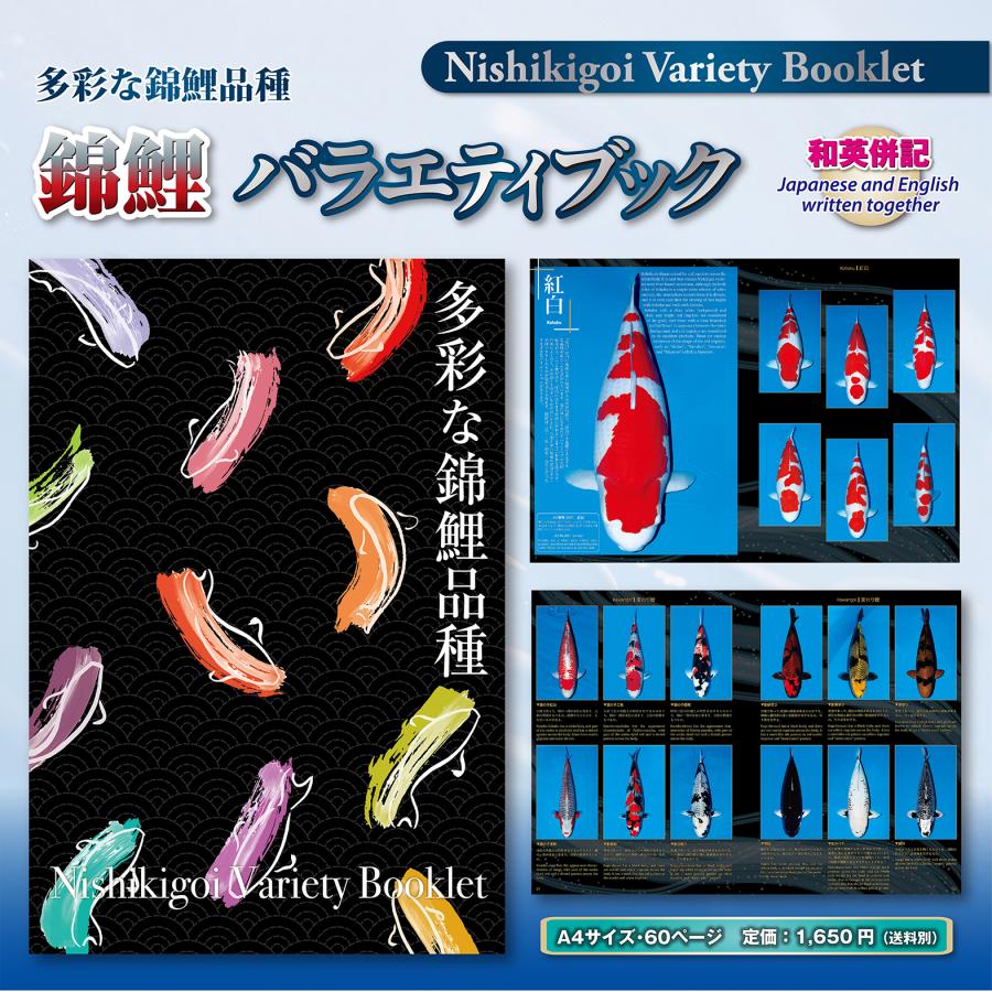 勝鯉の双璧ファイル 勝鯉の双璧ファイル 勝鯉の双璧ファイル 勝鯉の