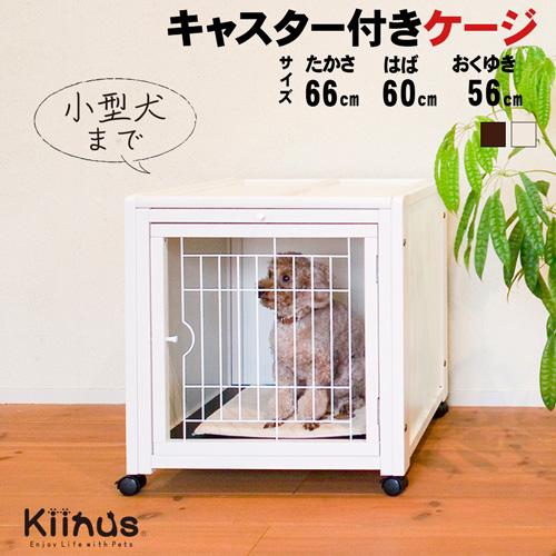 Kiinus（キーヌス） [ペットケージハウスAS60] 小型犬用 ケージ 多頭