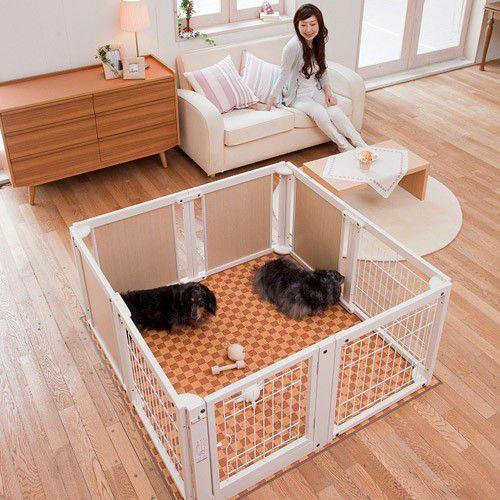 Kiinus（キーヌス） [ペットサークルF60XLメッシュB] 小型犬用