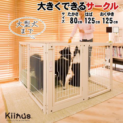 Kiinus（キーヌス） [ペットサークルF80XLメッシュA] 犬用 サークル