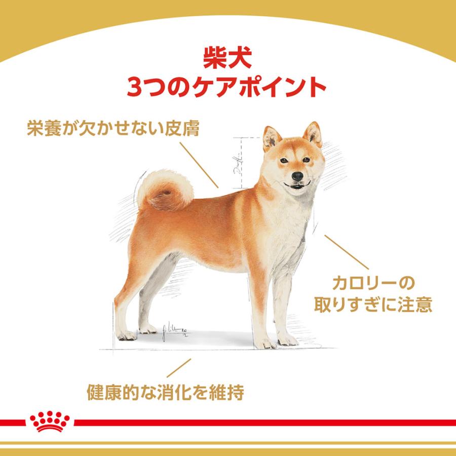 ロイヤルカナン（ROYAL CANIN） BHN 柴犬 成犬用 10ヵ月齢以上 8kg