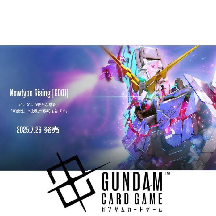 ガンダムカードゲーム Newtype Rising カートン 未開封 ガンダムカード