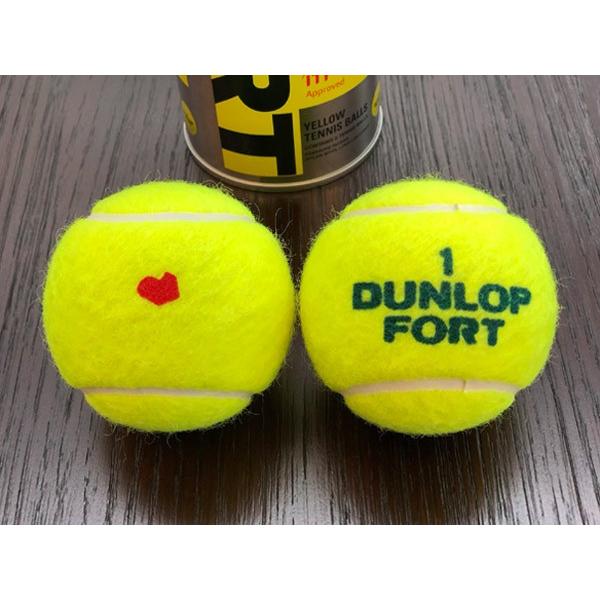 KPIオリジナルモデル」DUNLOP ダンロップ 「FORT フォート [2個入] 1缶