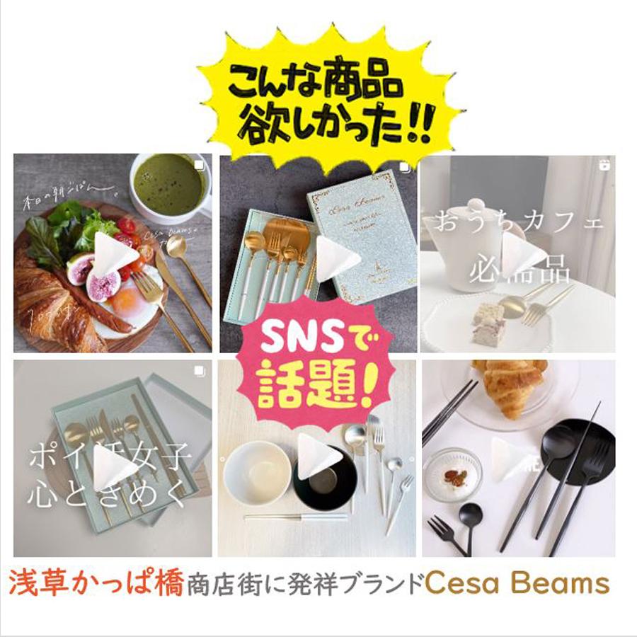 Cesa beams カトラリーセット 5本x2セット ギフトボックス付き 結婚
