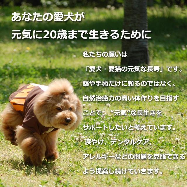 帝塚山ハウンドカム 愛犬・愛猫用歯石取りペンチとスケーラーセット