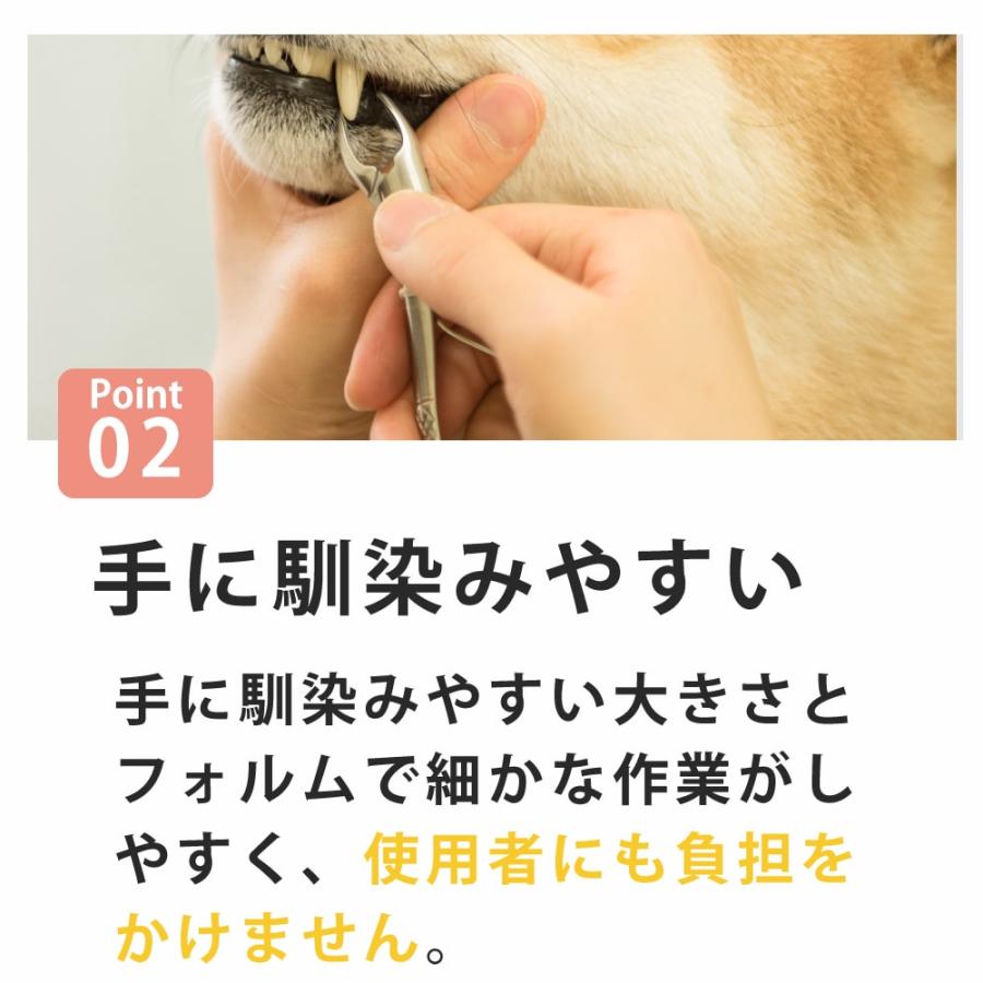 帝塚山ハウンドカム 愛犬・愛猫用歯石取りペンチとスケーラーセット