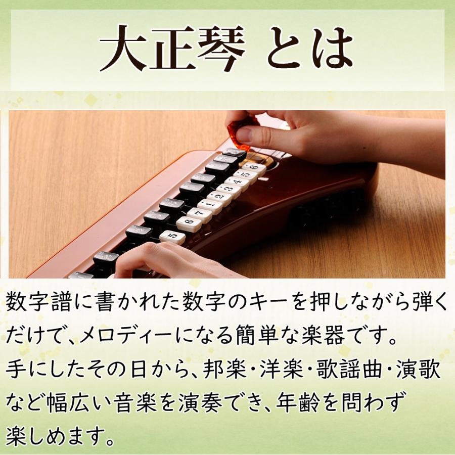 スズキ（SUZUKI） 大正琴 特松 鈴木楽器製作所 高品質 和楽器 初心者