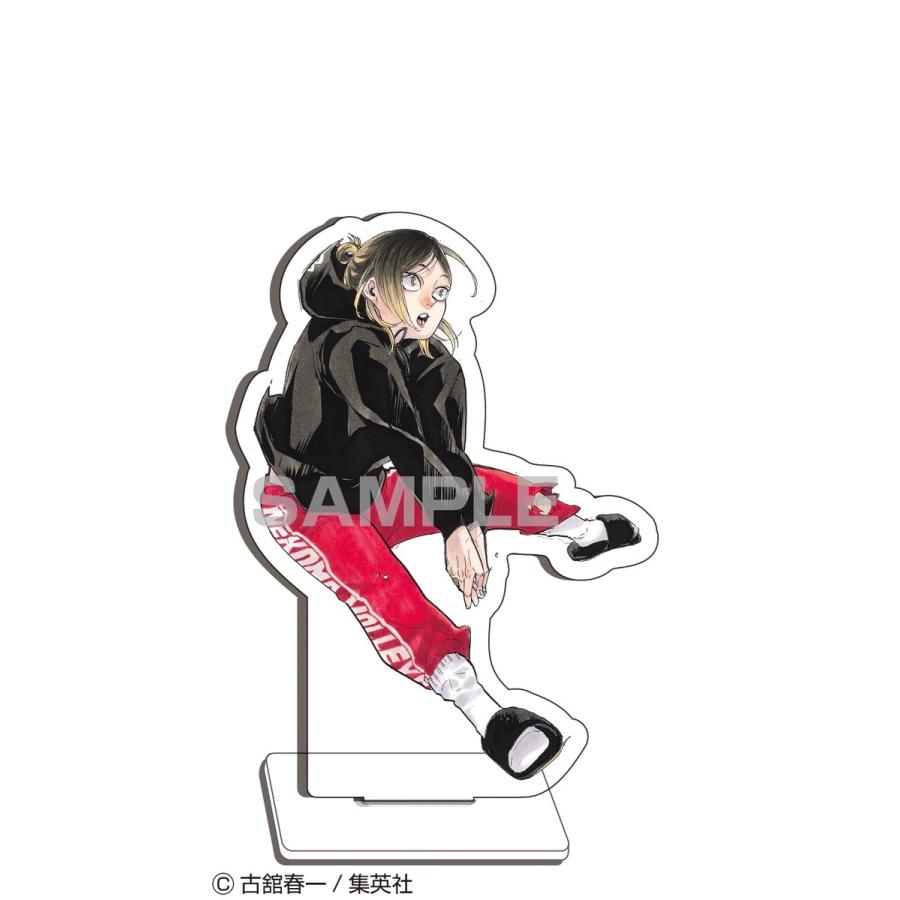 ハイキュー！！ 10thクロニクル グッズ付き同梱版(S:0320