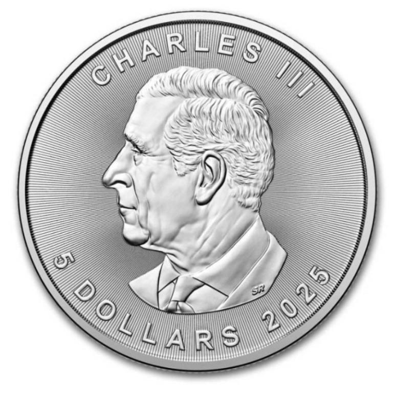 2025年】銀貨 メイプルリーフ銀貨 1oz 10枚セット(10オンス) クリア