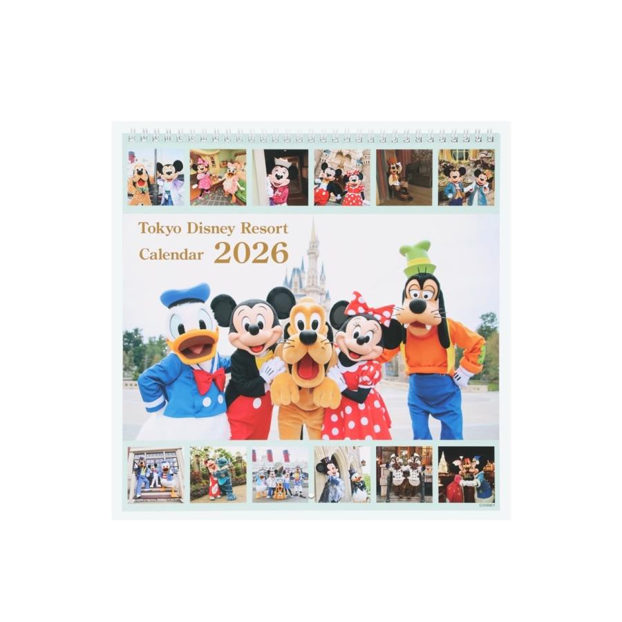 ディズニーリゾート カレンダー2026 実写 壁掛け ディズニーカレンダー