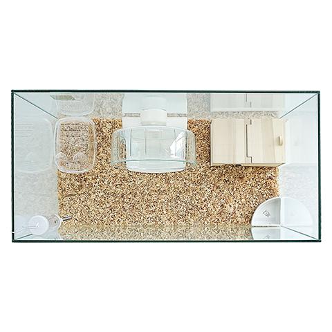 600ハムスターHIGH ゴールデンハムスター飼育セットII【A：給水ボトル