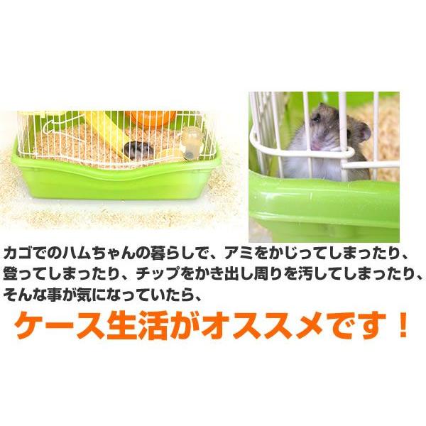 ジャンガリアンハムスター飼育セット【冬仕様】/飼育ケース ハムスター