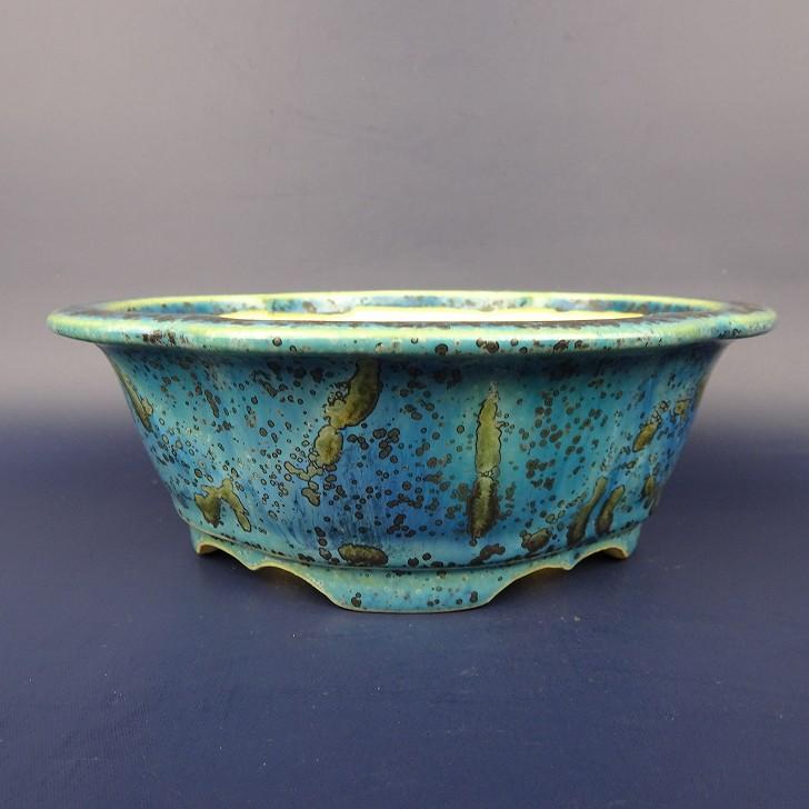 475 盆栽盆栽鉢植木鉢和鉢鴻陽