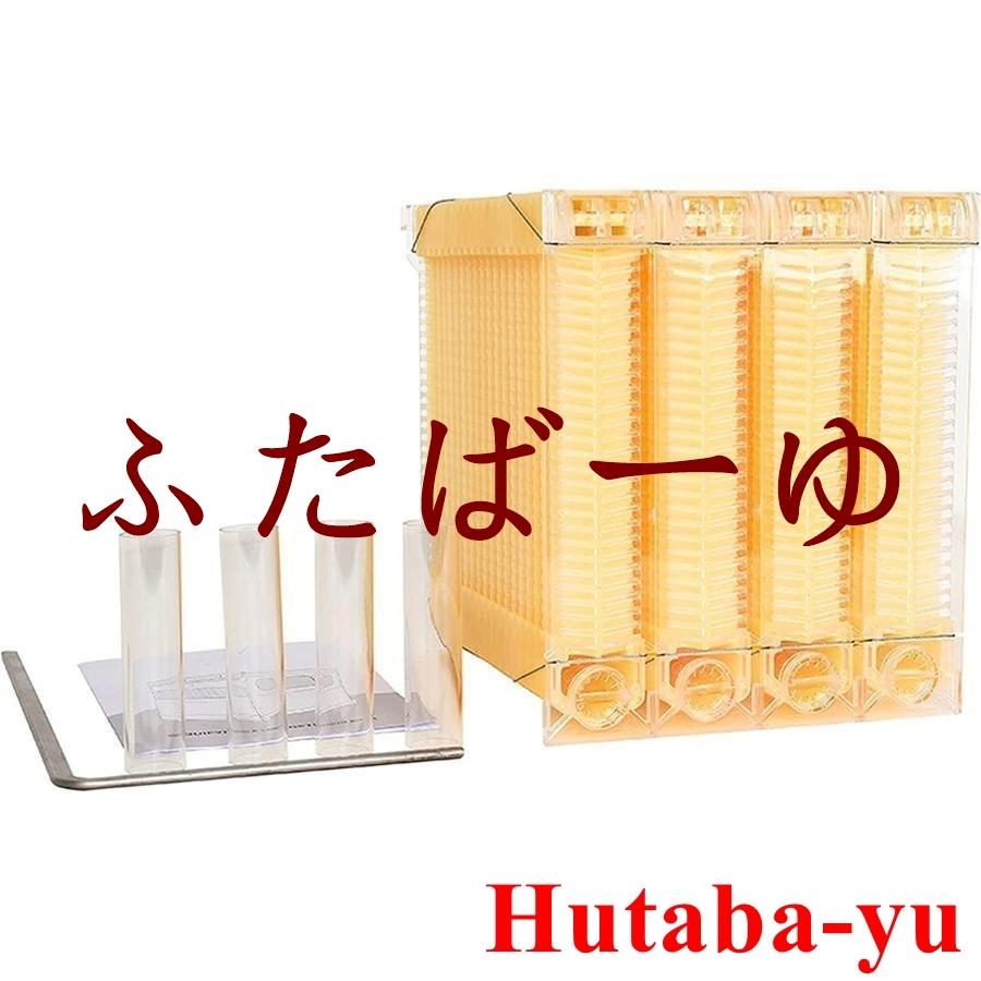 ミツバチ 巣箱 巣枠付き 雨晒し済み ミツバチ 巣箱 巣枠付き 雨晒し