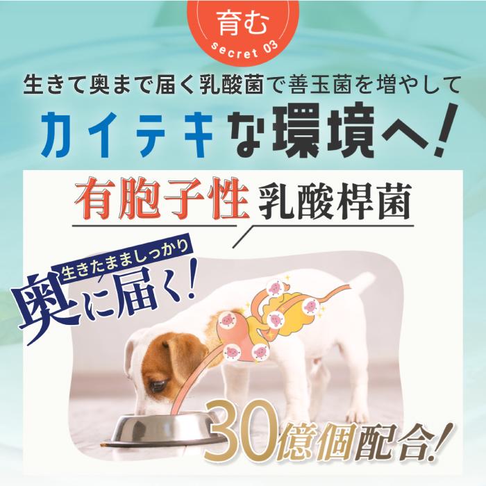 あいこな アイコナ aikona 犬用 サプリメント 1袋（食ふん 食糞 涙やけ