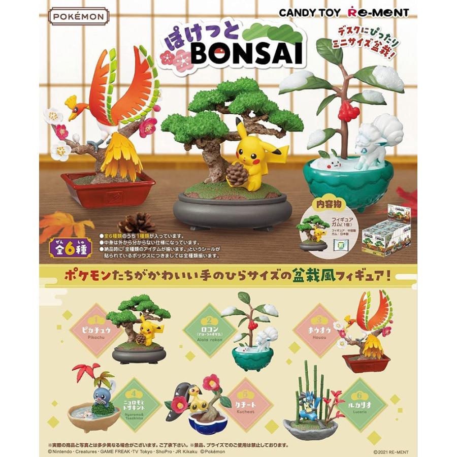 リーメント ポケモン ぽけっとBONSAI BOX商品 全6種類 全種セット