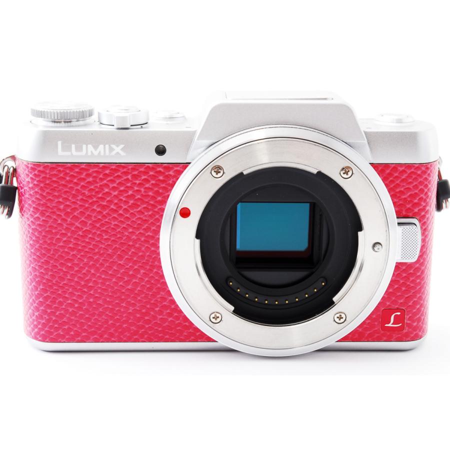 LUMIX Gシリーズ パナソニック ミラーレス Panasonic DMC-GF7 ダブル