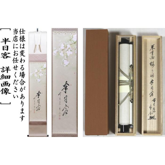 茶道具 掛軸 掛け軸 一行画賛 半日客 佐藤朴堂筆 桜の画 上村米重画