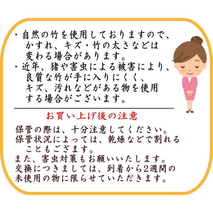 茶道具 銘付茶杓 銘 洗心 長谷川大真筆 海野宗泰作 茶杓 茶道 : 茶道具