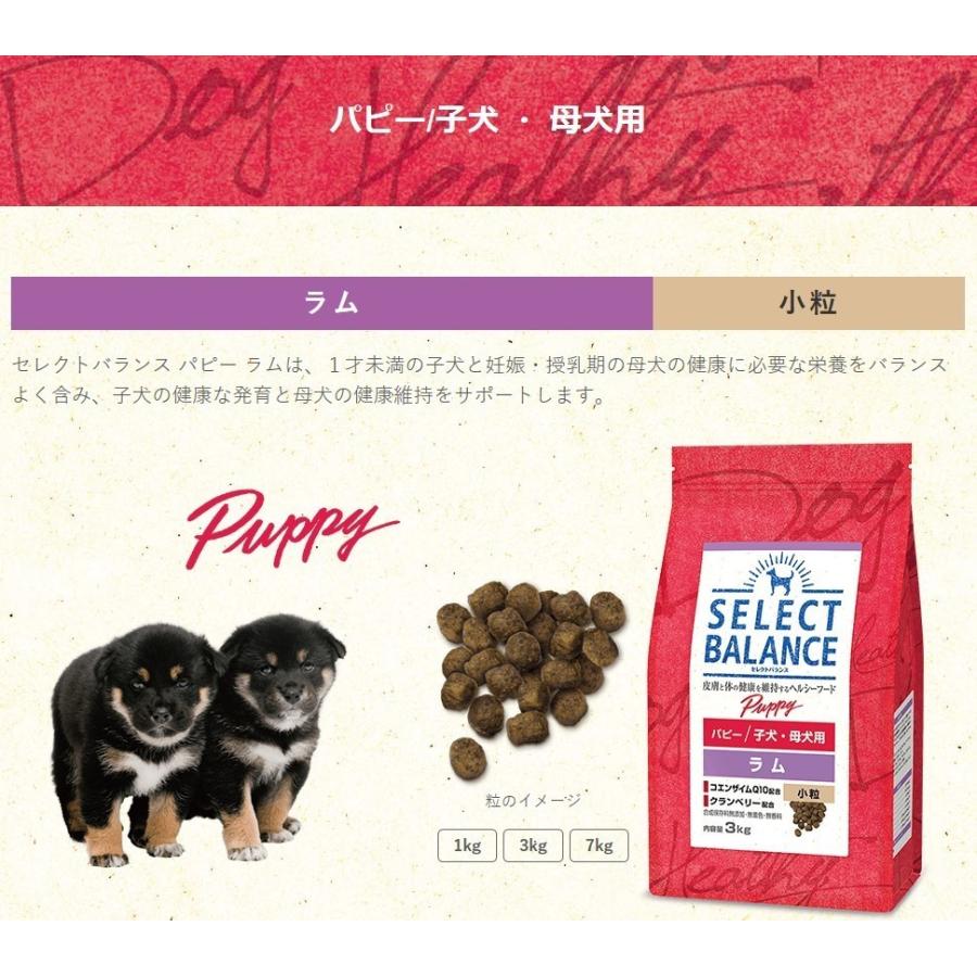 SELECT BALANCE セレクトバランス パピー ラム 小粒 子犬・母犬用 7kg
