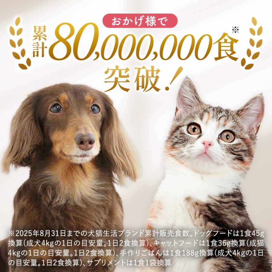 犬猫生活 キャットフード 無添加 ドライ 猫 オールステージ 生鶏肉味