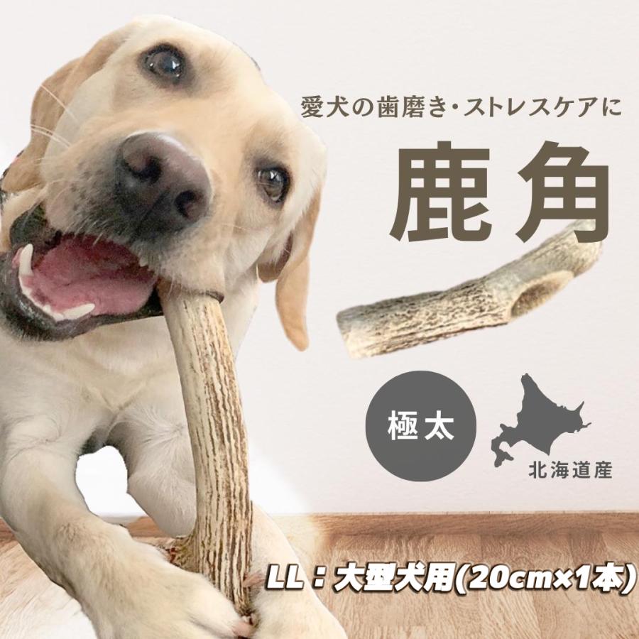 鹿の角 犬 おもちゃ 噛む おやつ デンタルケア 北海道 エゾシカ 用品