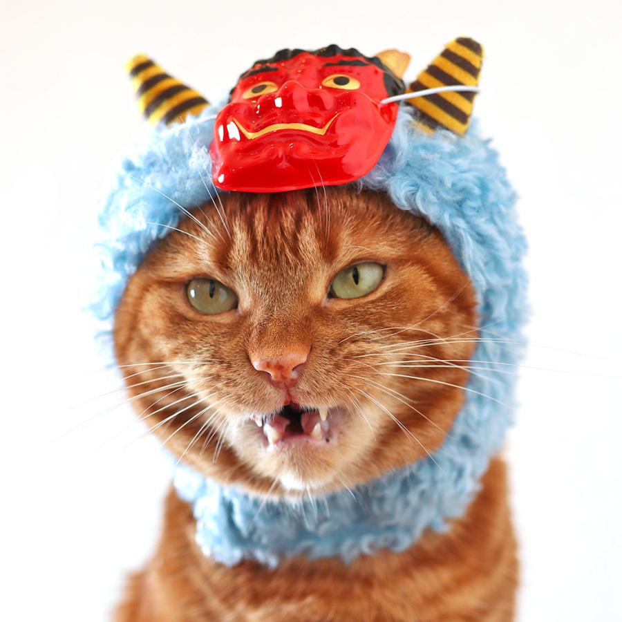 iDog ワンダフルセール 20%OFF 犬 服 鬼さんスヌード アイドッグ