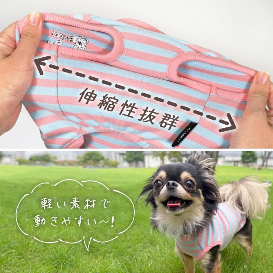 iDog ワンダフルセール 5%OFF 犬 服 おかしパーティー福袋 アイドッグ