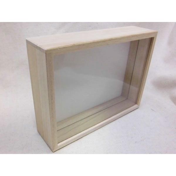 本格標本箱 （桐製） 中 : モンスターYahoo!店 - 通販 - Yahoo