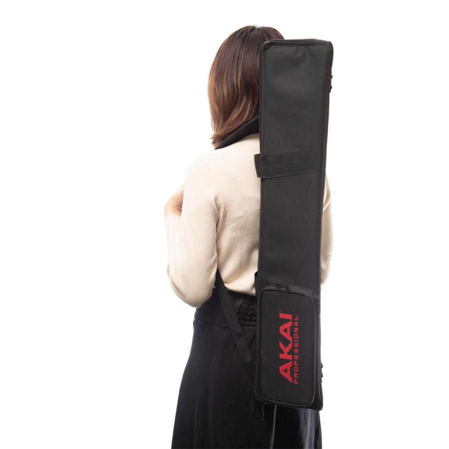 AKAI アカイ EWI3000 EWI3000m セット ソフトケース付き AKAI アカイ