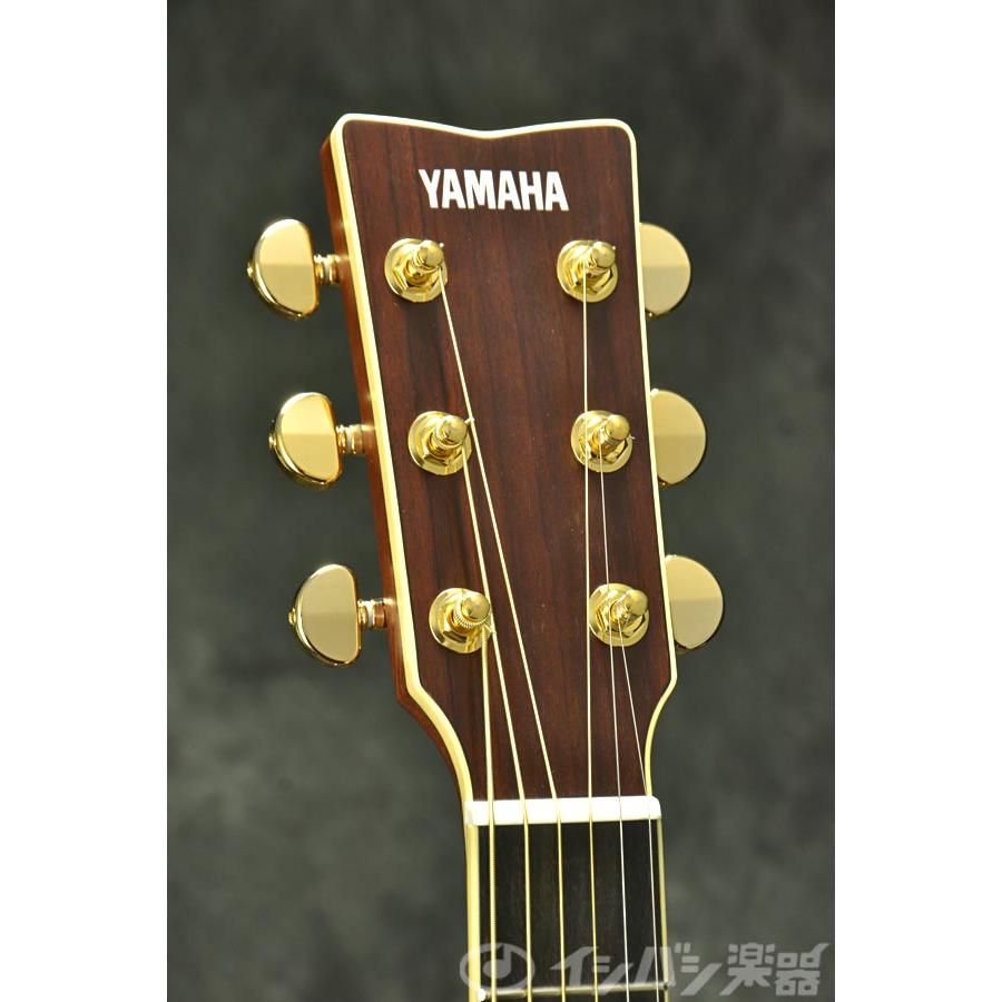 YAMAHA（ヤマハ） YAMAHA / LL16D ARE Natural (NT) (専用ケースつき