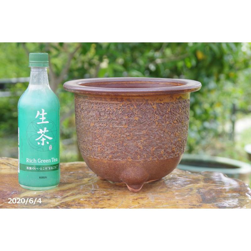 楽 刻印の器 緑茶色 a674f8e3e0cdae08921839d6d1ee44