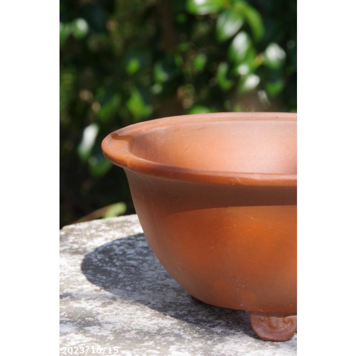 471 盆栽 盆栽鉢 植木鉢 中国鉢 471 盆栽 盆栽鉢 植木鉢 中国鉢 中国