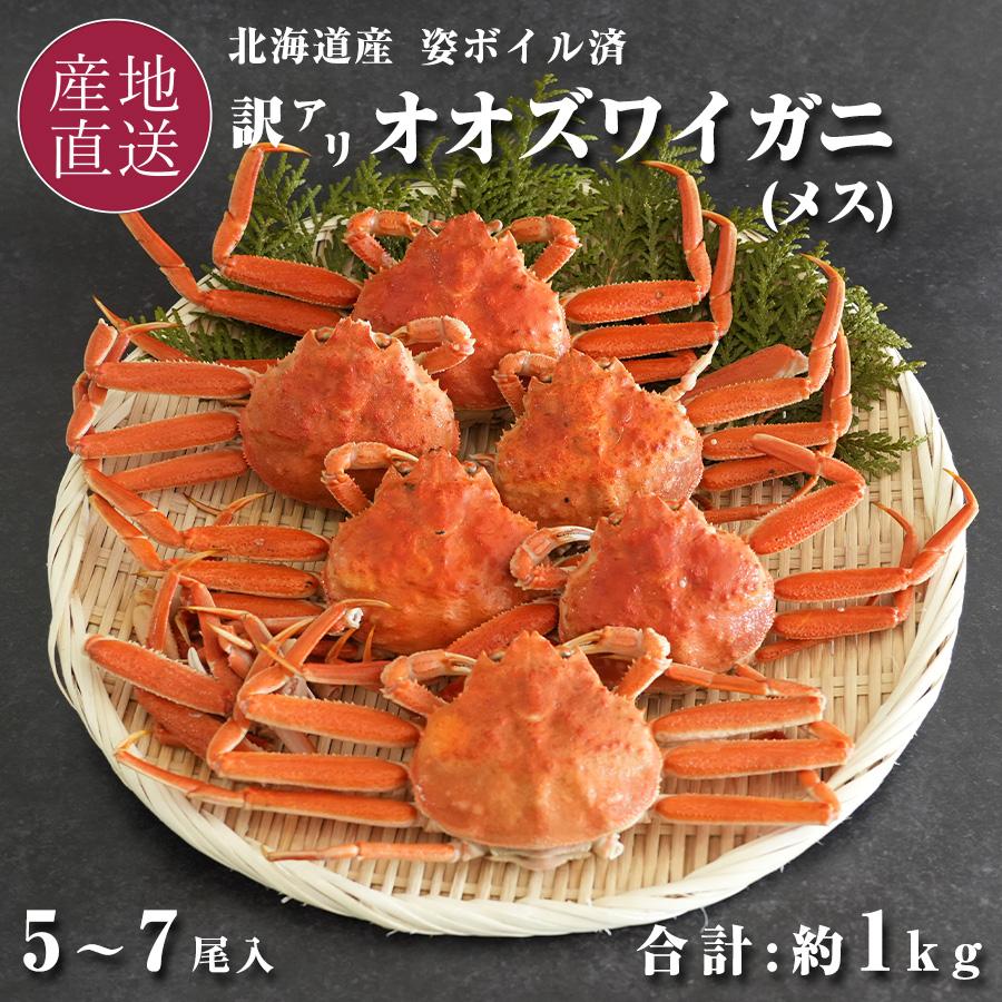 訳あり オオズワイガニ メス 北海道産ボイル 姿 5~7尾 計1kg 冷凍 内子