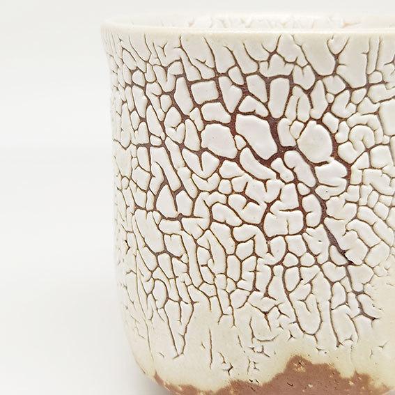 萩陶苑（SHUTOUEN） 萩焼 湯呑 かいらぎ 佳俊作 木箱入 湯呑み お茶碗